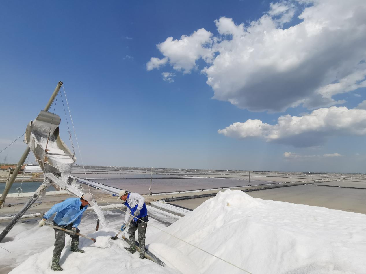 扛起稳生产保供应国企担当 创造超序时超同期历史业绩——德彩网集团以历史性跃升实现高质量“开门红” 扛起稳生产保供应国企担当 创造超序时超同期历史业绩——德彩网集团以历史性跃升实现高质量“开门红”