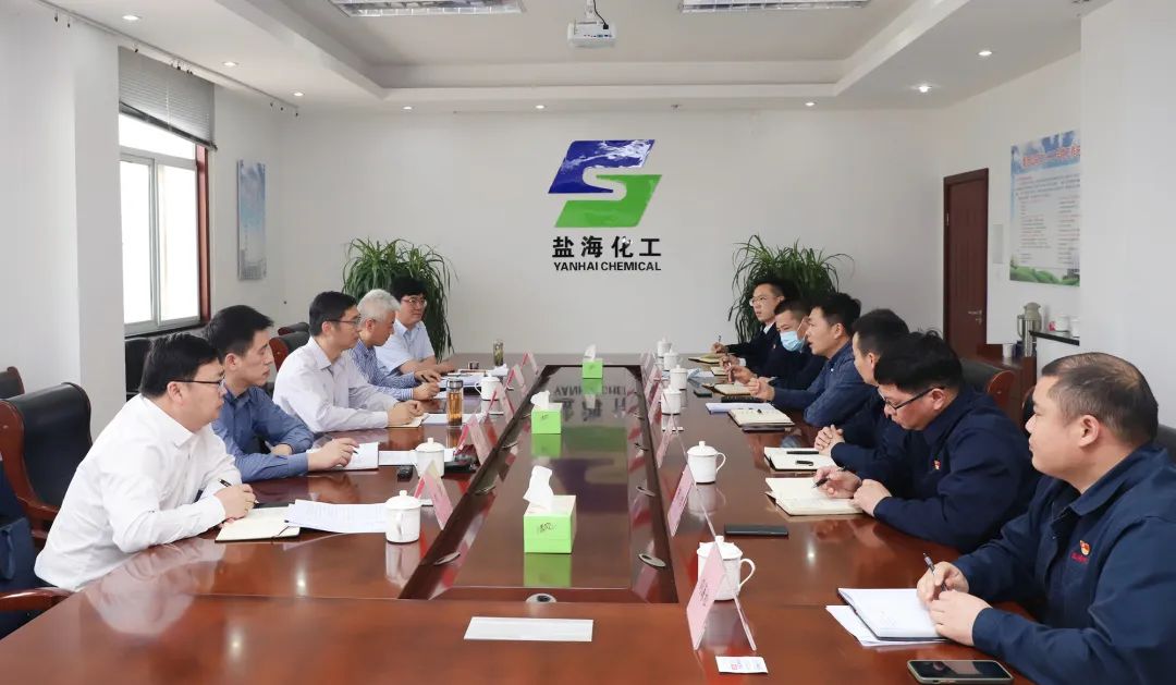 集团党委书记 董事长章朝阳赴盐海化工公司、瑞泰盐业公司调研 集团党委书记 董事长章朝阳赴盐海化工公司、瑞泰盐业公司调研