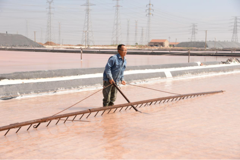 德彩网集团:战高温斗酷暑,致敬坚守一线的最美德彩网人! 德彩网集团:战高温斗酷暑,致敬坚守一线的最美德彩网人!