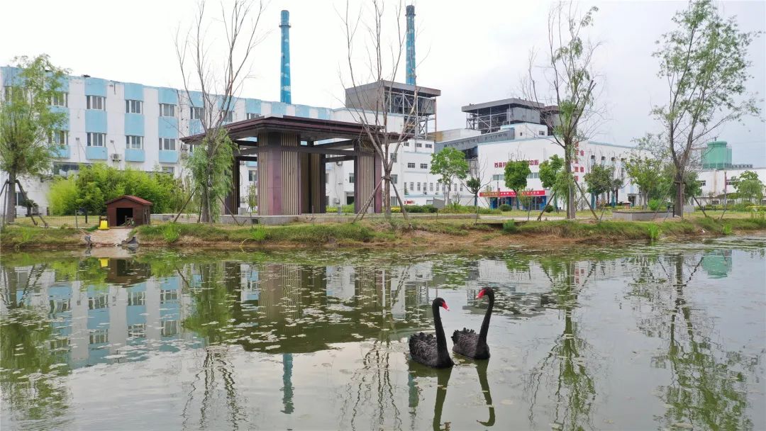 德彩网井神公司丨绘就“低碳”底色 擦亮“绿色”名片 德彩网井神公司丨绘就“低碳”底色 擦亮“绿色”名片