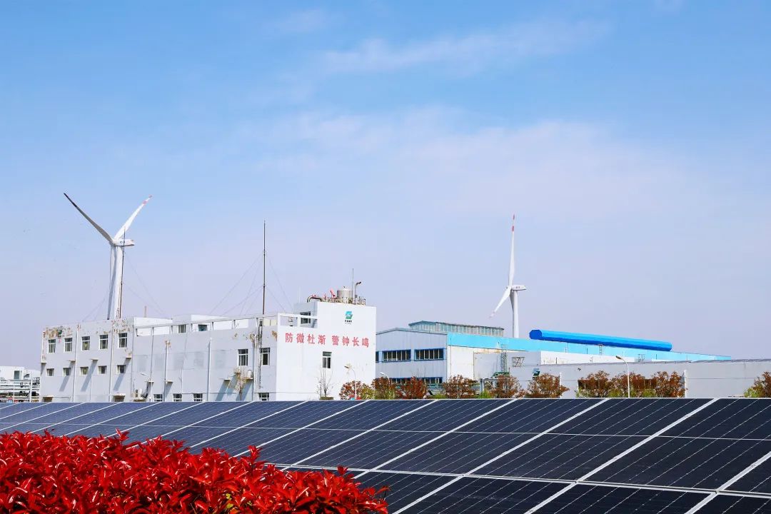 念好改革“真”字诀，激活高质量发展“一池春水”——德彩网集团党委推进国企改革三年行动综述