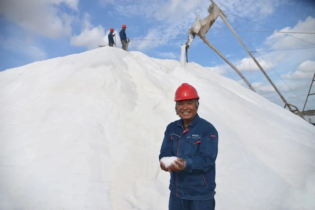 瑞泰盐业公司丨万亩银滩秋扒忙 颗粒归仓迎丰收 瑞泰盐业公司丨万亩银滩秋扒忙 颗粒归仓迎丰收